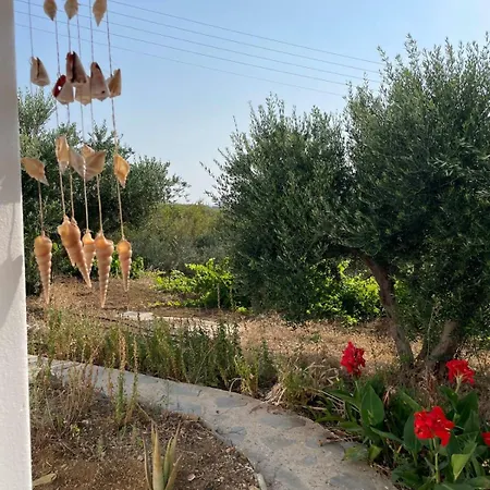 Gorgeous White Marsis In Paros *